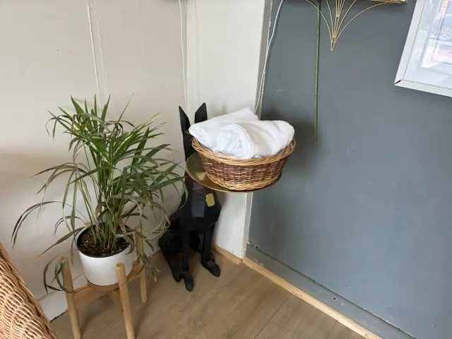 A calm corner of the House4paws grooming salon